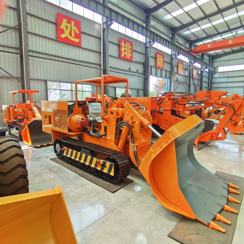 Best Electric Side Dump Loader