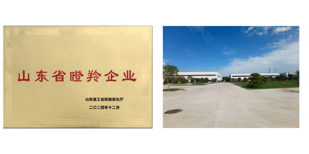 صورة جرافة ذات حفارة مجنزرة.jpg